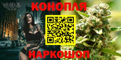 гашик Бузулук
