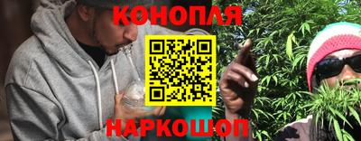 стафф Будённовск