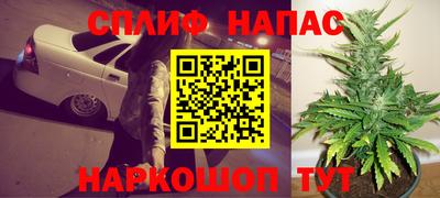 гашик Бузулук
