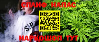 гашик Бузулук